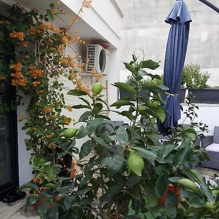 Nel Risorgimento Apartment *